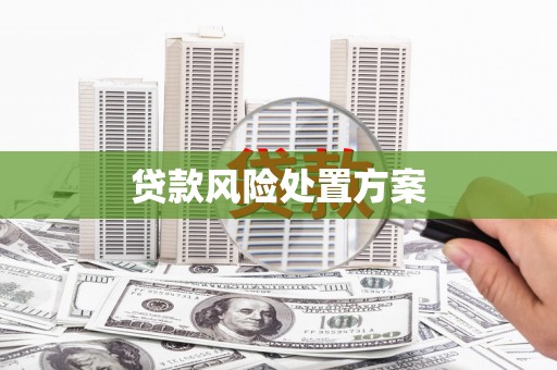 潮安贷款风险处置方案